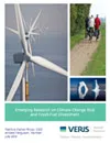 Emerging Research on Climate Change Risk and Fossil-Fuel Divestment