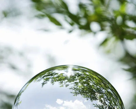 Ellen Remmer: An Inspiring Journey About Impact Investing and Empowering Women