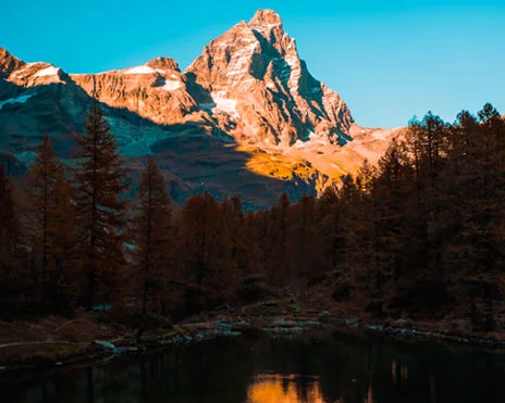 Reason for Climate Change Optimism