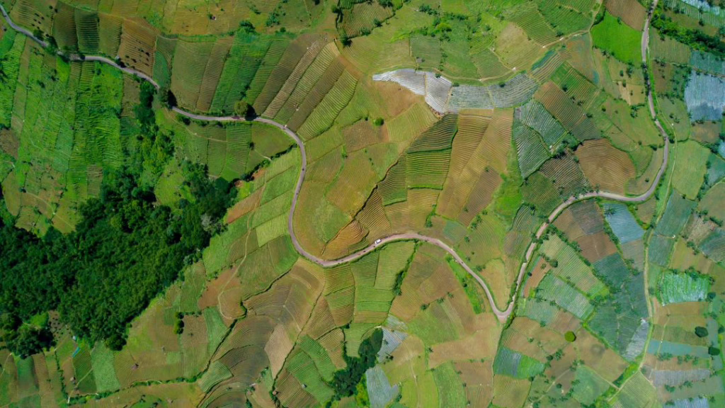 Layered terraced farmland from above, representing the gradual phasing of private market allocations